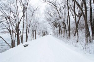 A Beginner’s Guide to Siddhar-Inspired Breathwork